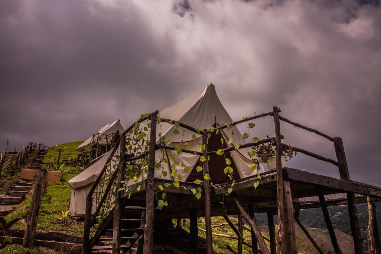 Glamping Rustiko Hostel Salento Exterior foto
